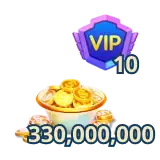 330 金幣包商品圖
