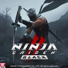 NINJA GAIDEN 2 Black(Steam Code)